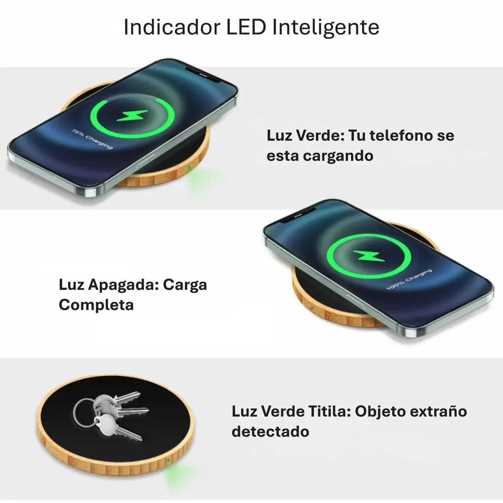 Cargador Lighting W06FL 10